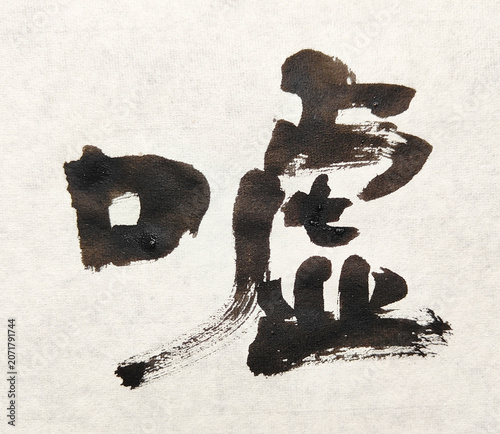 Bild auf Leinwand 【嘘】 Title 嘘 Japanese Brush Calligraphy – Truth and Deception Ink Art

キーワード（26個）