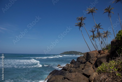 Tropical Rocky Coast with Coconut Palms in Sri Lanka