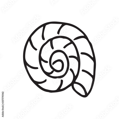 Foto Hand Drawn Spiral Seashell Line Art Illustration of Nautilus Shell for Beach and