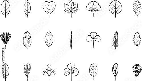 Various Leaf Silhouettes arranged in grid on white background for design elements