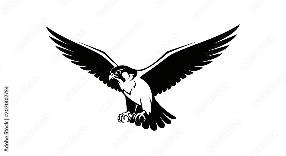 Fototapeta premium Powerful hawk bird of prey in flight with wide wings spread