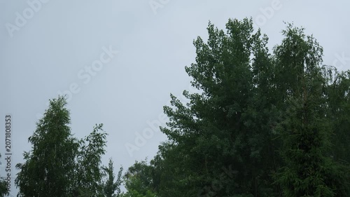 Rain falls on trees in a park during a cloudy day in a city