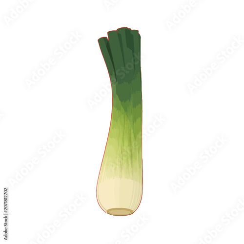 Fresh celery, green onion and leek isolated on white background