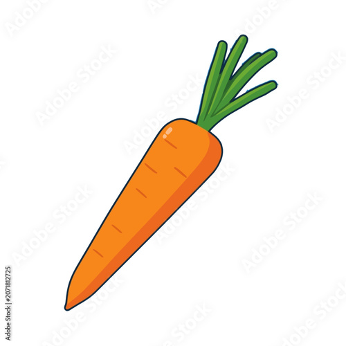 Isolated fresh carrots with green leaves on white background illustration of healthy organic vegetable nature food ingredient carrot roots vector image