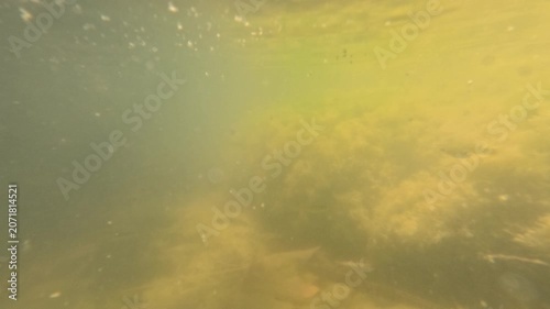 Dark depths of a polluted lake underwater view