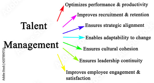  Seven Functions of Talent Management