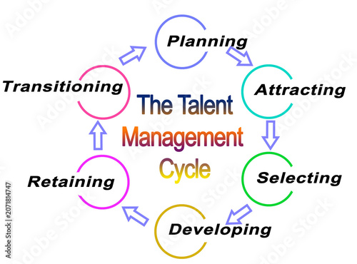 Six Components of  Talent Management Cycle