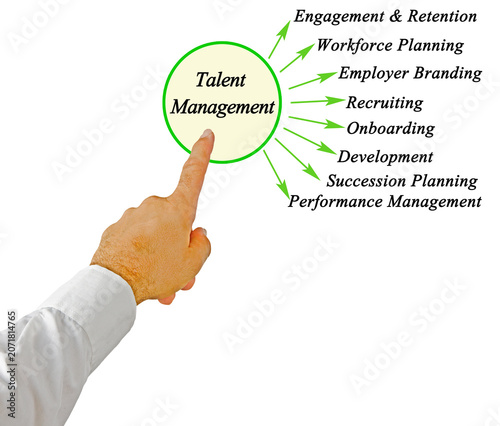 Eight Goals of Talent Management