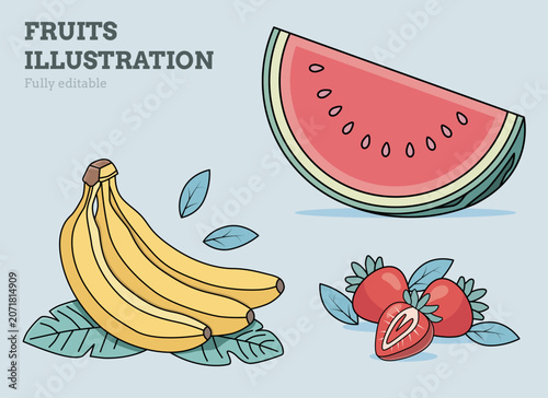 Fruits illustration with melon, banana and strawberries. Isolated vector concept. Fully editable.