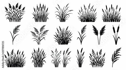 Black reed silhouette collection, 18 marsh grass and cattail vector elements, wild pond vegetation icons for landscape design and nature graphics isolated PNG with Transparent Background