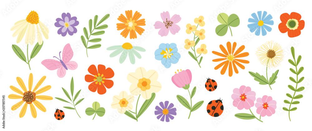 Fototapeta premium Spring flower vector elements set with ladybugs. Colorful flat floral clipart with wildflowers, leaves and cute ladybug accents for cards, stickers and seasonal decoration.