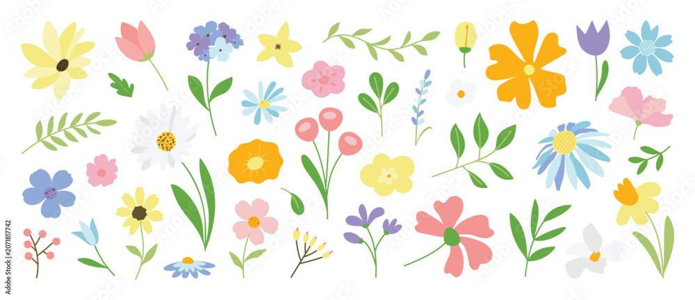 Fototapeta premium Spring flower vector elements set. Colorful flat floral clipart with wildflowers, leaves, blossoms and botanical stems for cards, invitations and nursery decoration.