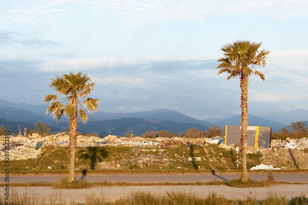 Fototapeta premium Outdoor landscape with two palm trees along a roadside, distant mountains, clear sky, and dry grass, conveying relaxed travel vibe, warm daylight, and minimal urban presence in the foreground.