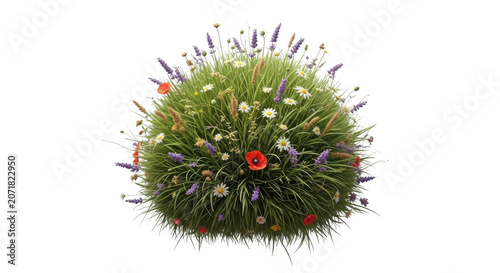 Spherical meadow with wildflowers and lavender during daylight isolated on transparent background