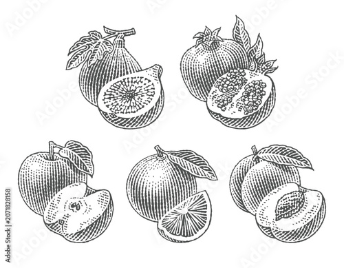 Fresh Fig, Peach, Apple, Orange and Pomegranate. Hand drawn engraving style illustrations.	