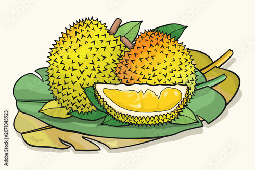 фотографія Durian fruits and leaves are placed on banana leaves.