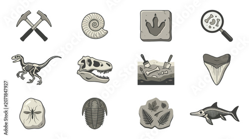 Fotografie Fossils and Paleontology Tools Icons.