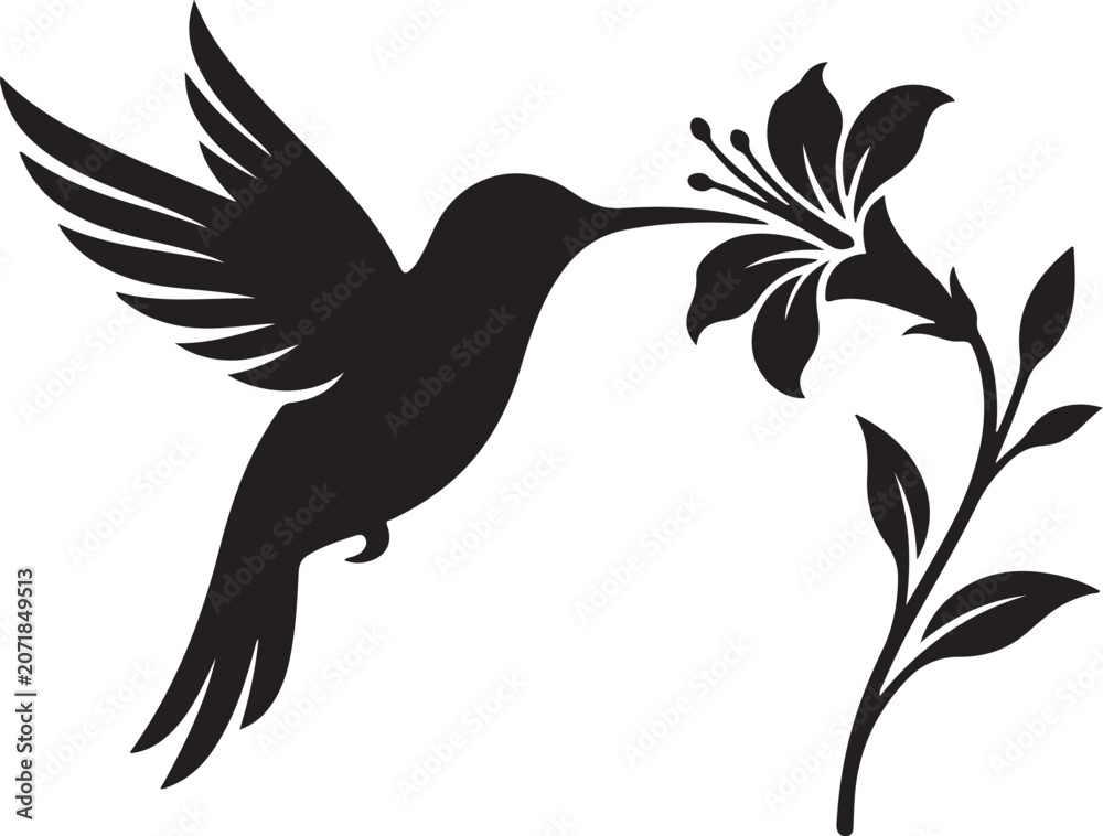 Fototapeta premium Black silhouette of a small hummingbird flying and drinking nectar from a beautiful blooming lily flower