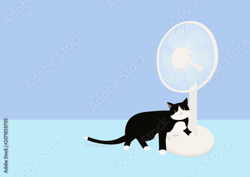 扇風機が好きな白黒猫