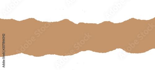 Torn brown paper with fiber detail macro texture PNG