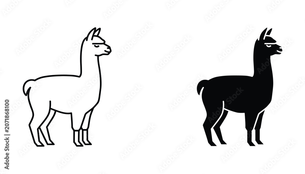 Obraz premium Two llamas standing side by side