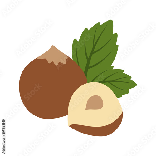 Hazelnut whole and cracked with leaf