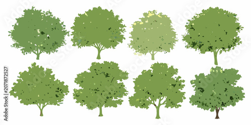 Fotografía Collection of green watercolor trees on a white background various shapes and fo