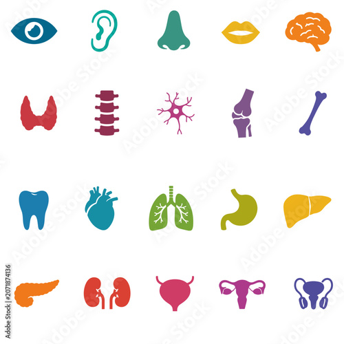 Human internal organs set with brain heart and pancreas icons