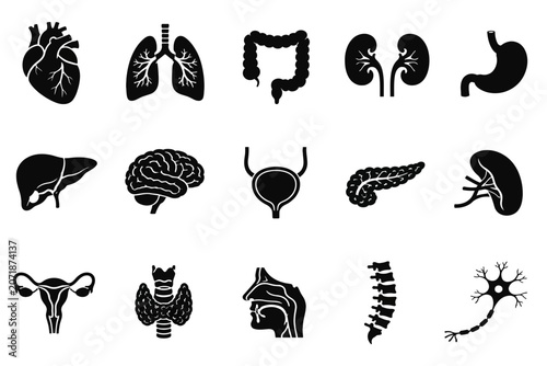 Human internal organs set with brain heart lungs and pancreas icons