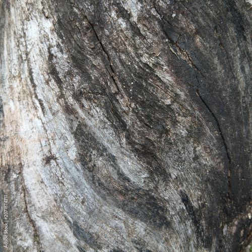 Close up of aged dark wooden bark texture with natural cracks and grain