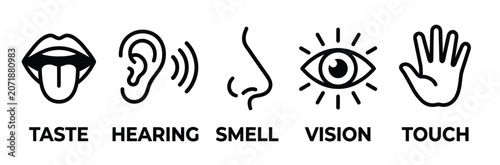 Cuadro en lienzo Five human senses icon set, black line art symbols for taste hearing smell visio