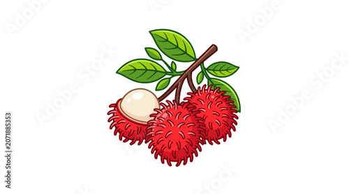 Fresh Rambutan Fruit on a Branch with Leaves.
