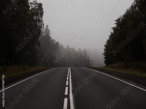 Empty asphalt road in foggy forest. Curved roadway, trees with green foliage in fog and overcast sky.