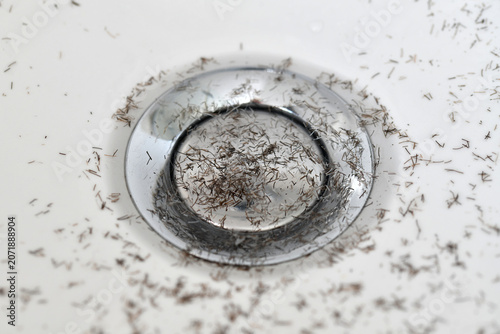 Fotografie Bartstoppeln im Waschbecken