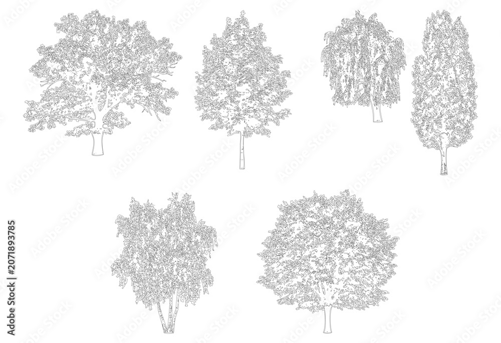Fototapeta premium Collection of five varied trees isolated on transparent background elevation view