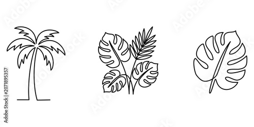 Tropical leaves and palm tree continuous line art set. Minimalist one line drawing of monstera foliage icons isolated on white background. Editable stroke