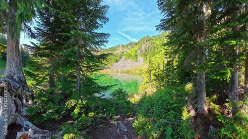 On the Shores of Lunch Lake in Olympic National Park