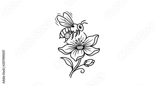Bee Pollinating White Daisy Flower Line Art Illustration Minimalist Style