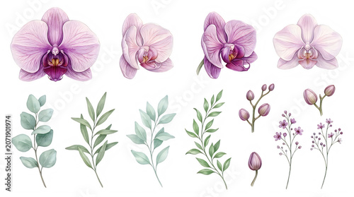 Watercolor illustration of pink orchids and green leaves isolated on transparent background