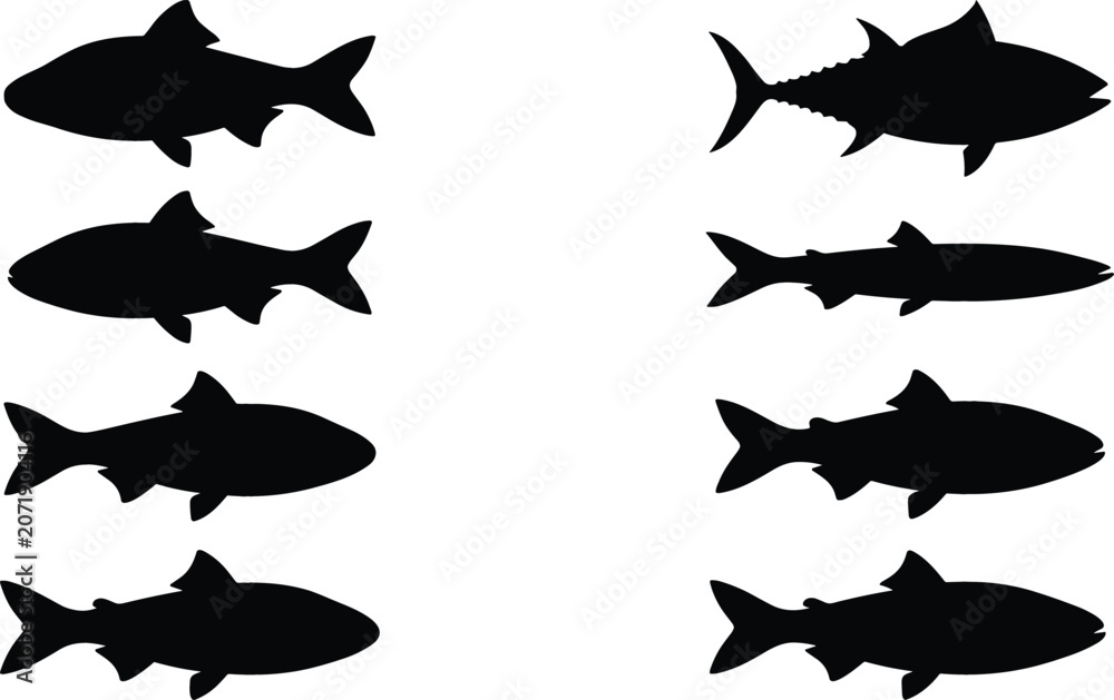 Obraz premium Freshwater and Saltwater Fish Silhouette Vector Set Featuring Tuna Mackerel Salmon Bass and Trout Species Shapes for Fishing Industry Logos and Graphic Designs