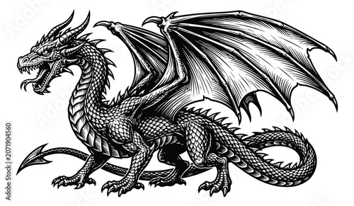 Photos Vintage dragon illustration in woodcut style, mythical winged creature vector, b
