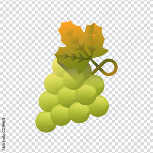 Grape Fruit Fresh Wine Vine Healthy Organic Food Design