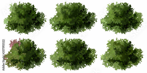 Canvastavla Collection of watercolor tree crowns in varying shades of green isolated on a wh