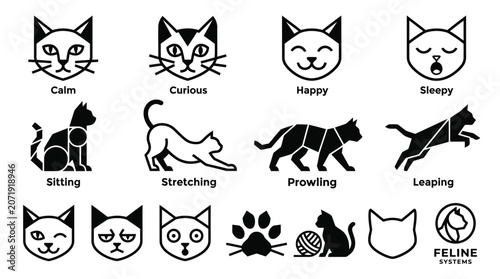 Photos Black Cat Silhouettes Various Emotions.
