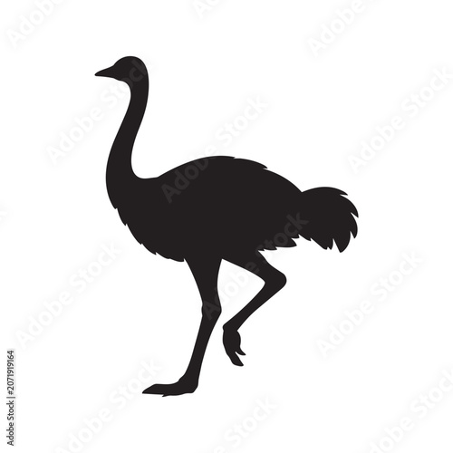Ostrich silhouette vector illustration