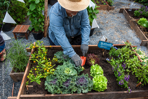 Canvastavla Gardener tending vibrant vegetable garden