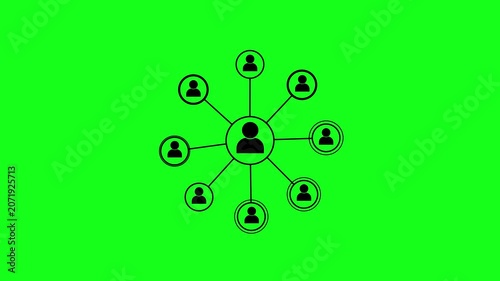 Social Media User Network Connection Hierarchy Animation with Black Avatar Icons and Nodes on Chroma Key Green Screen Background for Business Team Structure Overlay.