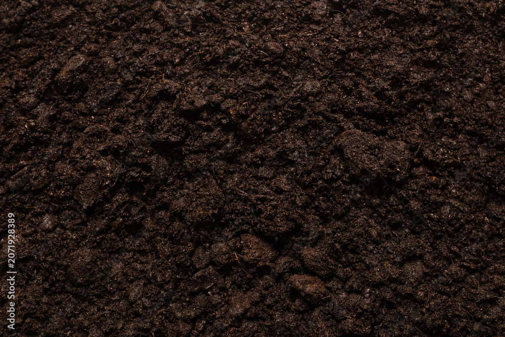 Fototapeta premium Black land for plant background.
