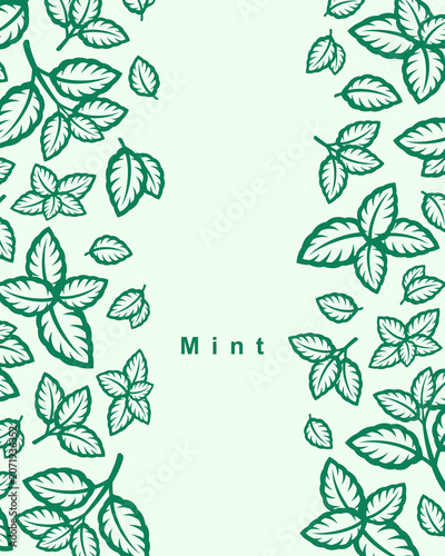 Mint leaves background, pattern set. Collection mint leaves icons. Vector