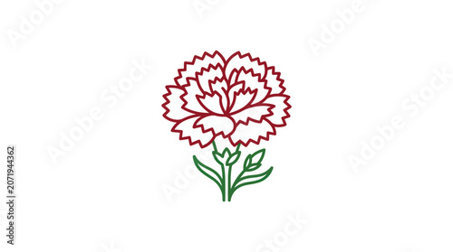 Fotografie Detailed illustration of a carnation flower.